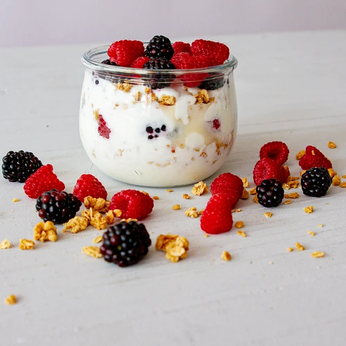 Bakterijske kulture za jogurt - 3