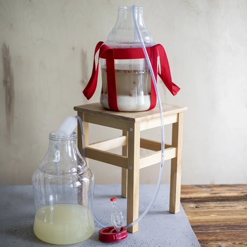 Balon za vino lagan, nelomljiv, s remenima, 10 L - 16