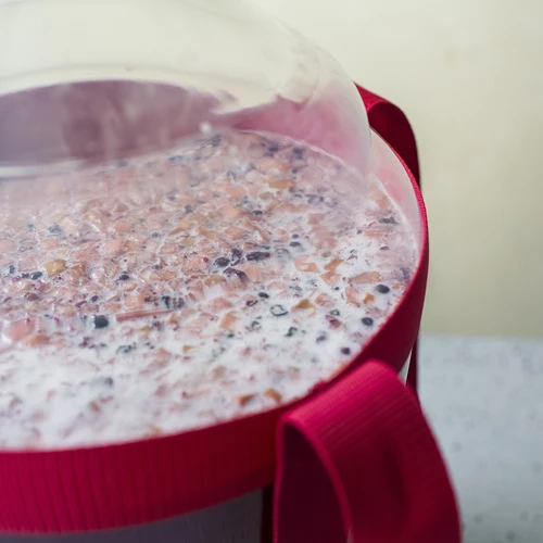 Balon za vino lagan, nelomljiv, s remenima, 20 L - 17