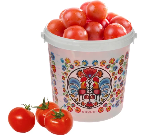 Kanta za hranu GWIOZDA - s poklopcem, 10 L - 7