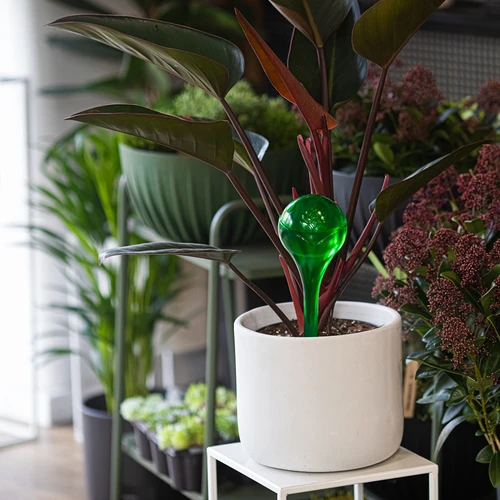 Kugle za navodnjavanje biljaka, zelene prozirne, 400 ml, 4 kom. - 9