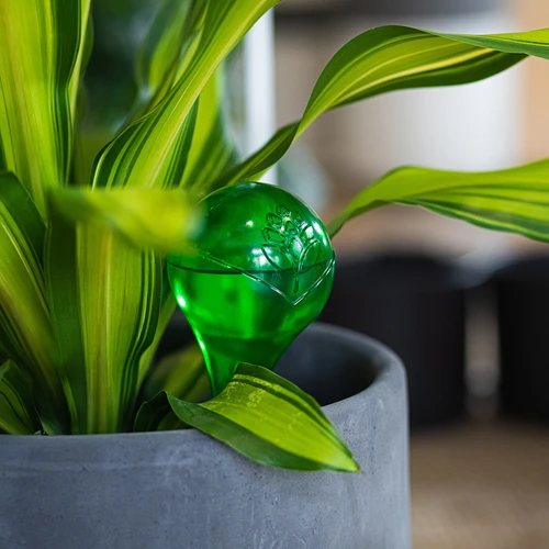 Kugle za navodnjavanje biljaka, zelene prozirne, 400 ml, 4 kom. - 10