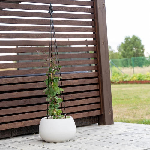 Metalna pergola - Piramida, 135 cm - 4