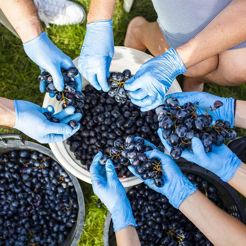 Posuda za fermentaciju s poklopcem 30 L - 17