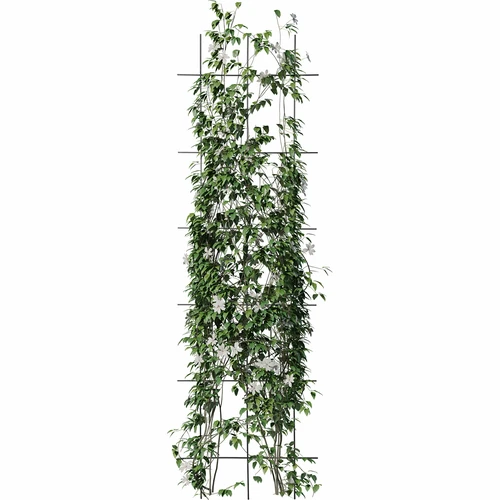 Potpora za biljke - rešetka (150cm x 45cm) 3 komada - 3