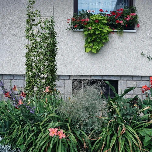 Potpora za biljke - vrtna rešetka 150 x 45cm - 4