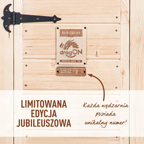 Pušnica s Wi-Fi, 200 L – dragON WOOD 100IQ s električnim grijaćim modulom i kontrolerom - 4