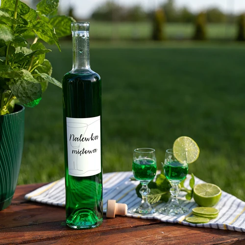 Samoljepljive etikete 60 x 90 mm za boce, likere, alkohol, votku - 20 kom. - 6