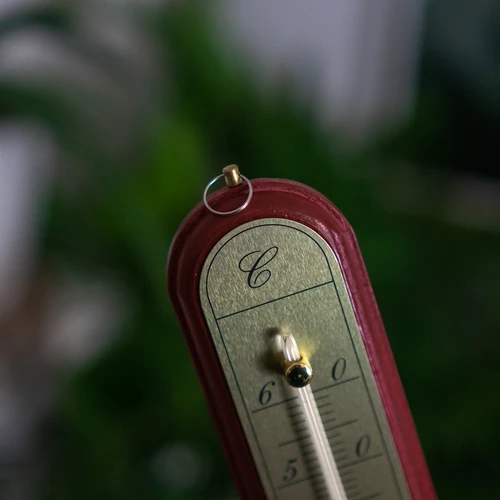 Sobni termometar sa zlatnom skalom (-10°C do +60°C) 28cm mix - 7