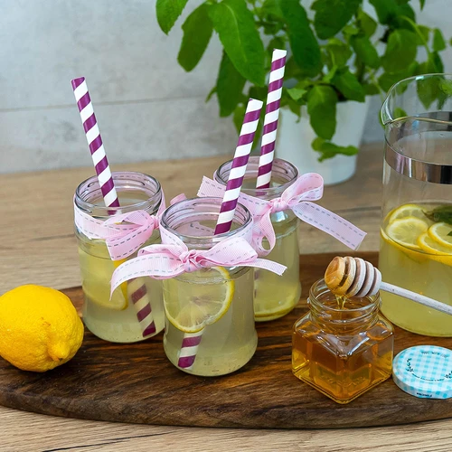 Staklenka TO 300 ml fi 66 - pakiranje 12 kom. - 8