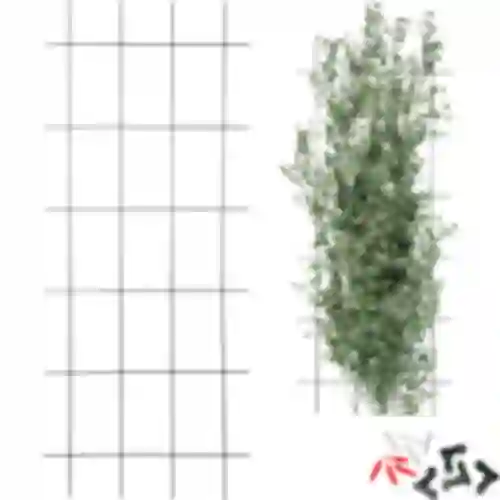 Potpora za biljke – vrtna rešetka 150 x 60cm