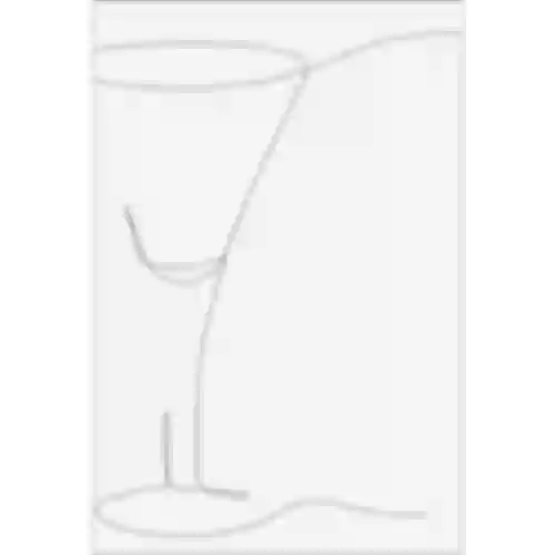 Samoljepljive etikete 60 x 90 mm za boce, likere, alkohol, votku - 20 kom.