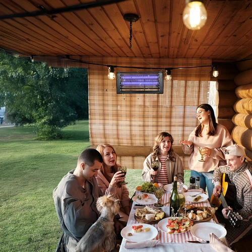 UVA lampa za uništavanje insekata 20 W, crna - 9