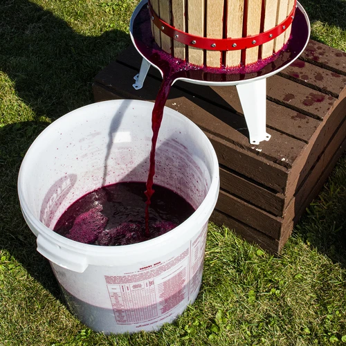 Vinski kvasac Burgund bez razmnožavanja, 20 ml - 4