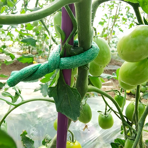 Vrtna žica obložena pjenom, zelena, 10 m, fi 10mm - 4