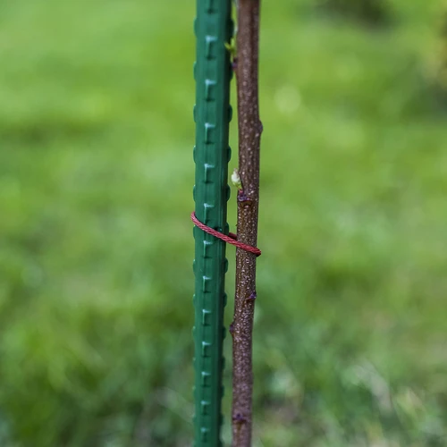 Vrtni kolci Bioogród – obloženi čelik, 1,2 m, fi 11 mm, 10 kom. - 5