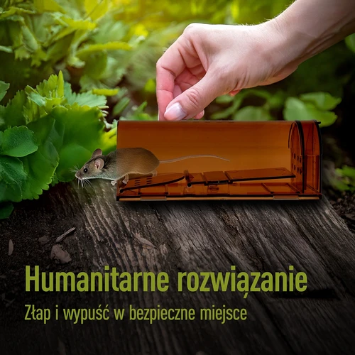 Zamka za miševe – živozamka, prozirna, 2 kom. - 7