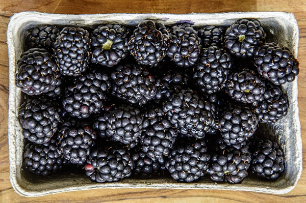 Domaće poluslatko kupinovo vino