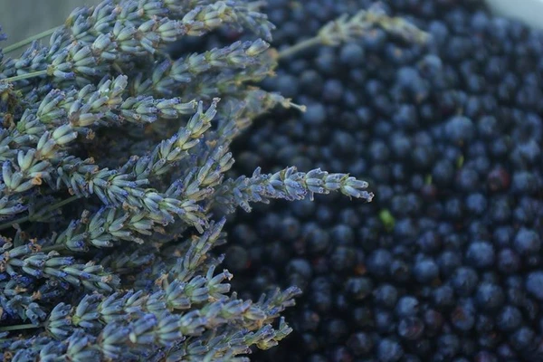 Domaće vino od lavande i borovnica