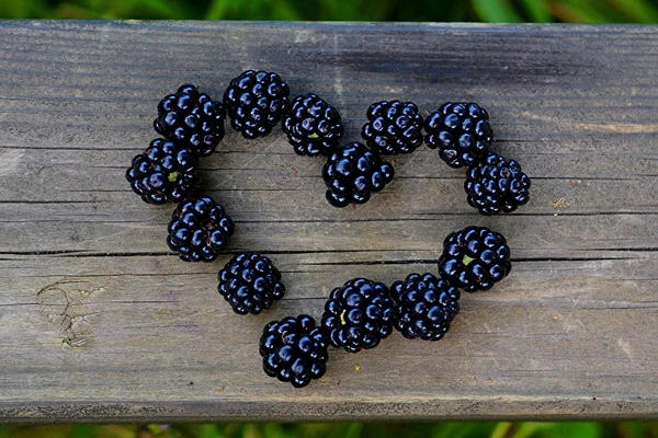 Domaći liker od kupina