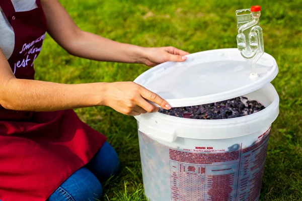 Kako napraviti vino korak po korak?