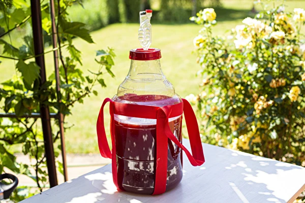 Kako napraviti vino korak po korak?