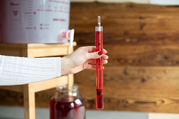 Kako napraviti vino korak po korak?