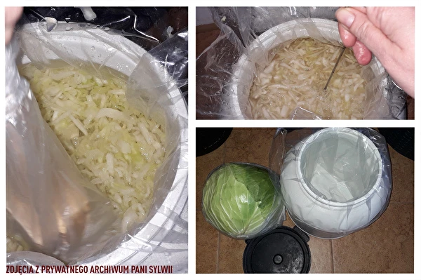Kiseli kupus prema receptu gospođe Sylwije