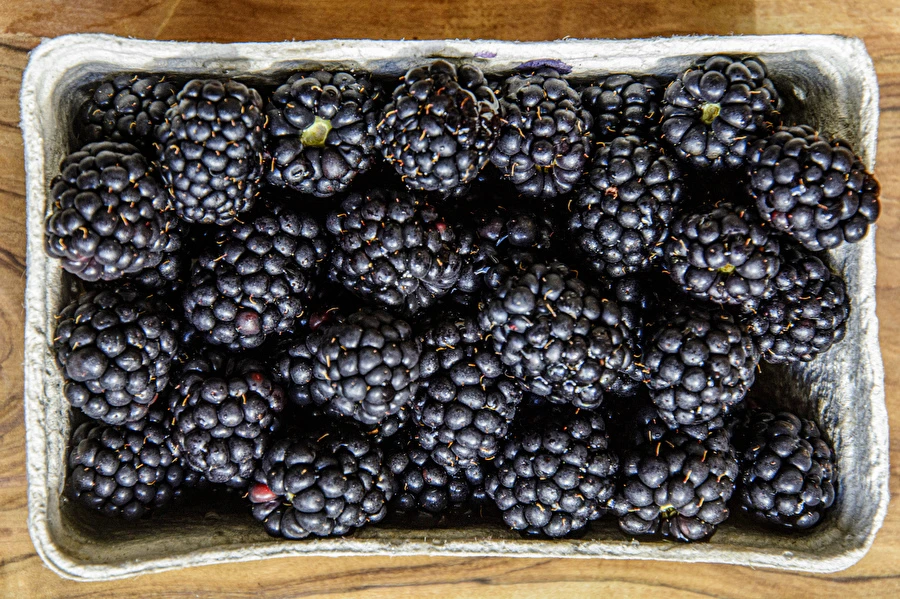 Browin Przepiśnik - Domaće poluslatko kupinovo vino