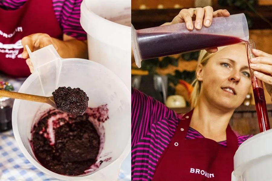 Browin Przepiśnik - Domaće vino od aronije