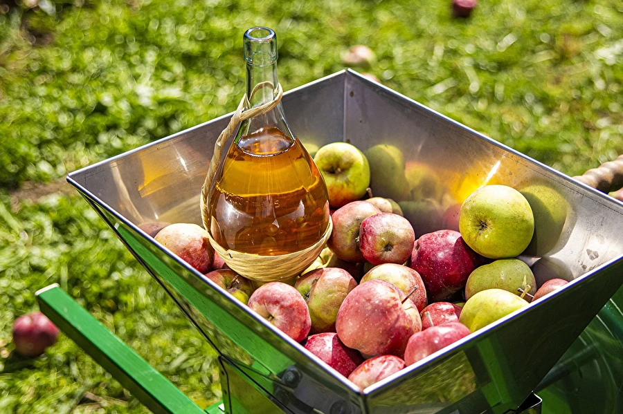 Browin Przepiśnik - Domaći cider