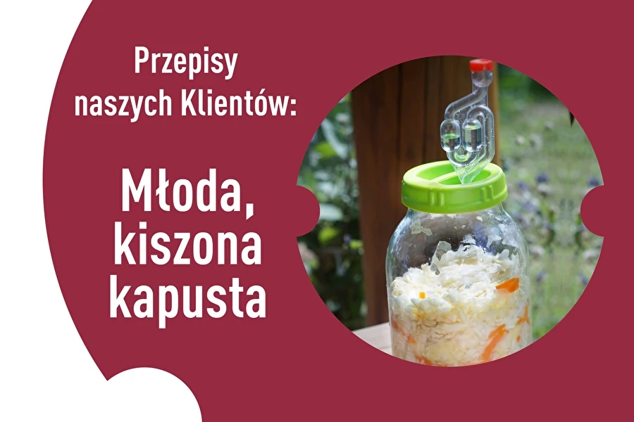 Browin Przepiśnik - Przepisy naszych Klientów: Młoda kiszona kapusta